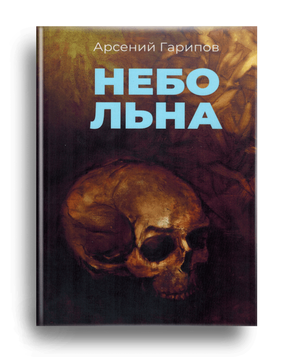 3. Гарипов А.А. Небо льна