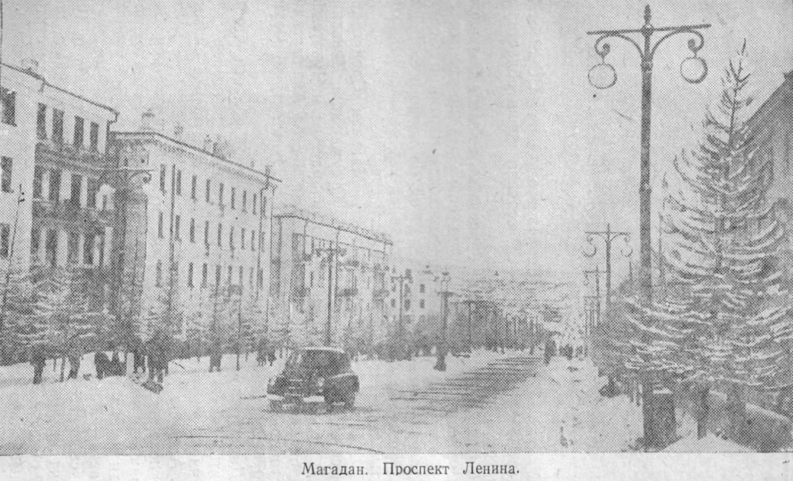 Книжная полка