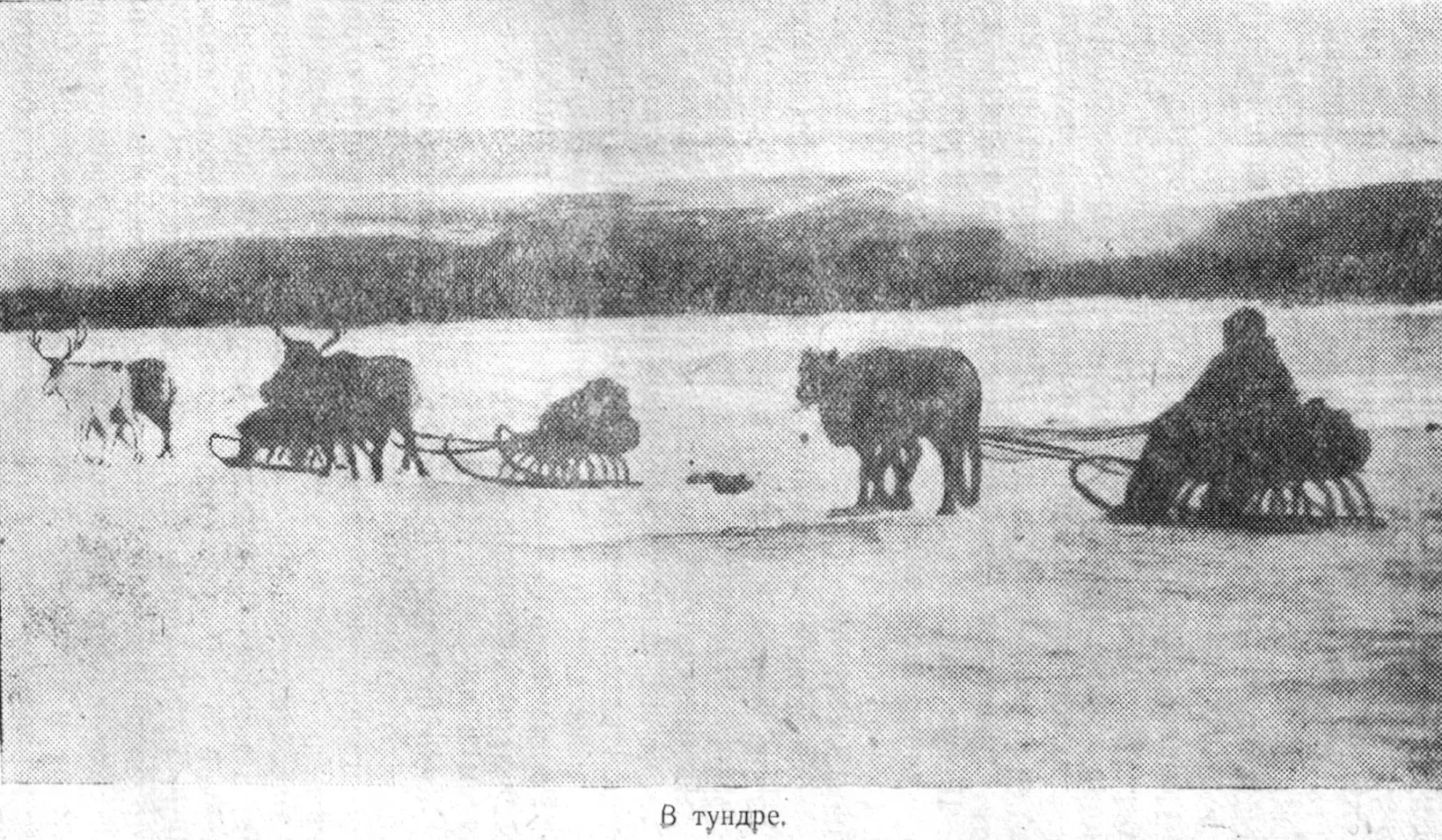 Книжная полка