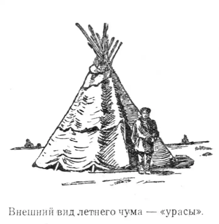 Книжная полка