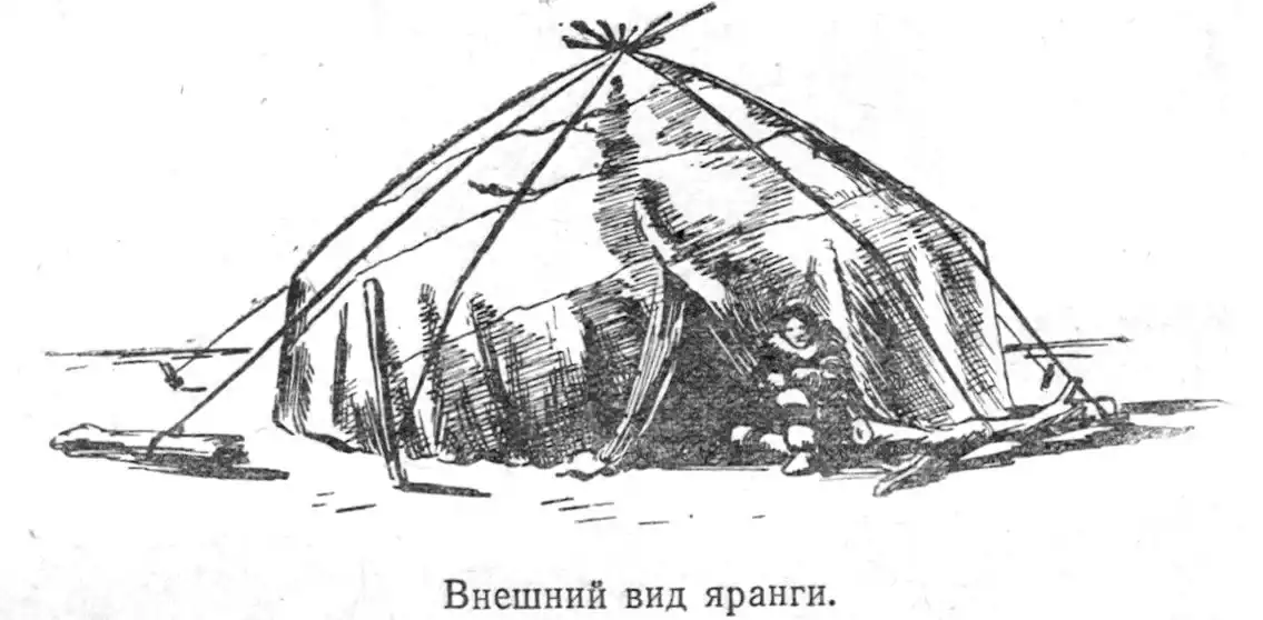 Книжная полка